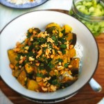 vega curry met cadhewnoten & coriander made by ellen