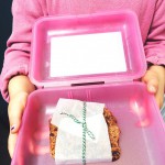 ideeën voor de lunchbox made by ellen