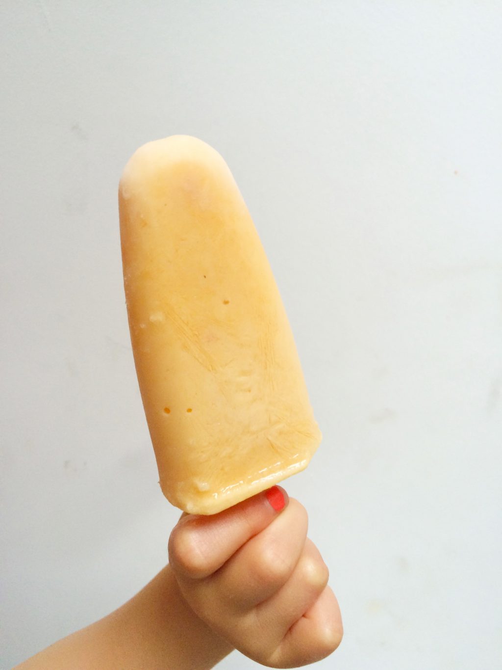 Yoghurtijs maken zonder suiker ijsmachine - Made Ellen