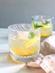 Sinaasappel cocktail met gember en kardemom